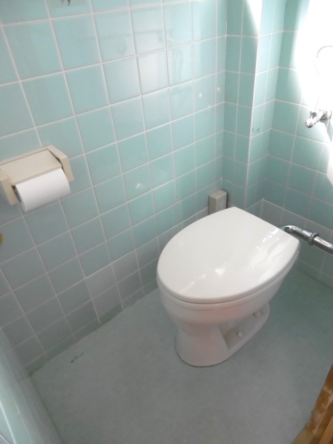ＪＲ土讃線 土佐一宮駅 徒歩15分 2階建 築32年のトイレ写真