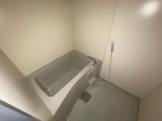 バス・シャワールーム　※別部屋の写真です