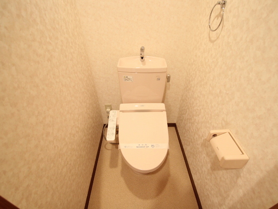 トイレ　※別部屋の写真です