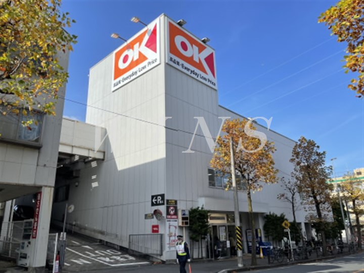 スーパー　オーケー 生田店（スーパー）まで1056m