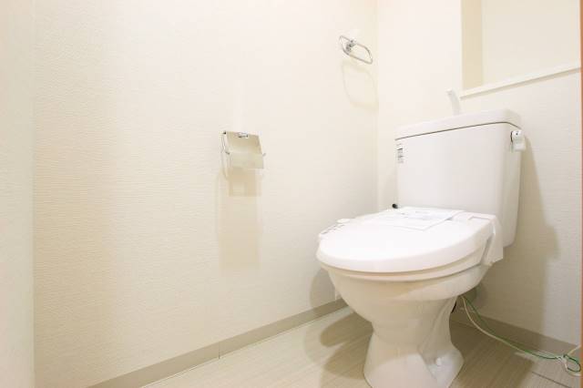 トイレ　清潔感のある色合いです