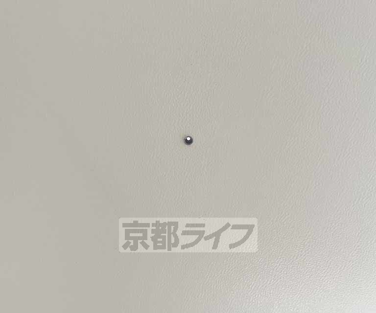 セキュリティ　覗き穴です