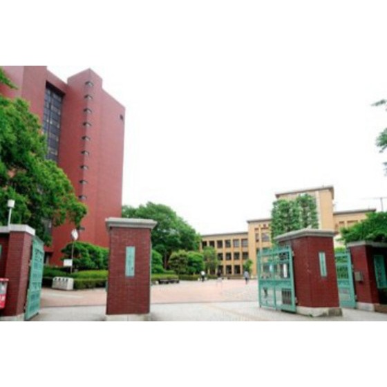 大学・短大　私立日本大学文理学部（大学・短大）まで806m