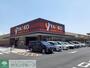 スーパー　ヤオコー加須店（スーパー）まで1160m