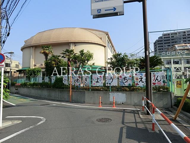 幼稚園・保育園　新宿区立柏木子ども園（幼稚園・保育園）まで494m