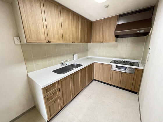 キッチン　※別号室の写真です