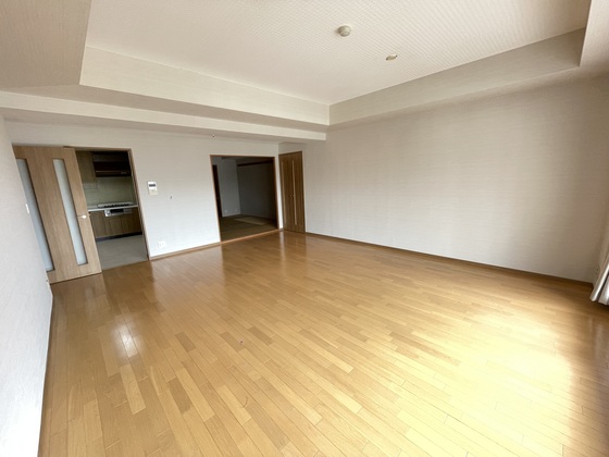 居室・リビング　※別号室の写真です