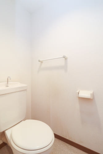 トイレ　同号・別部屋の写真を使用しています。現況を優先します。
