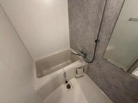 バス・シャワールーム　※別部屋の写真です