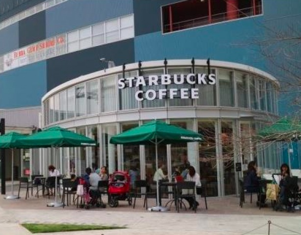 スーパー　たつみチェーン豊洲店（スーパー）まで239m