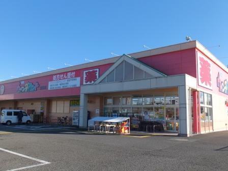 ドラックストア　ウィンダーランド道悦店（ドラッグストア）まで1126m