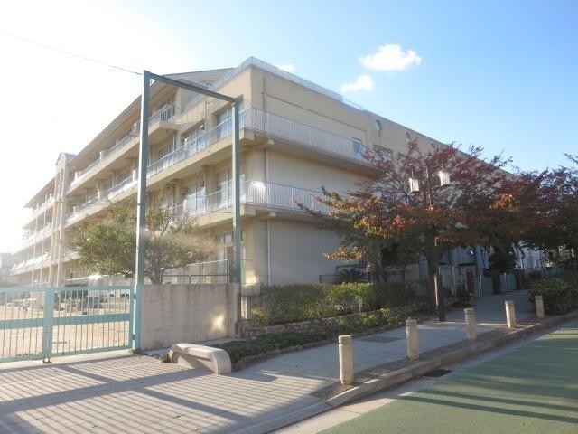 小学校　神戸市立灘小学校（小学校）まで459m