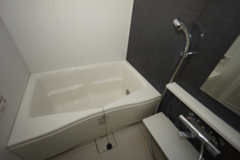 バス・シャワールーム　他号室の写真になります。