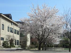 小学校　松本市立源池小学校（小学校）まで1031m