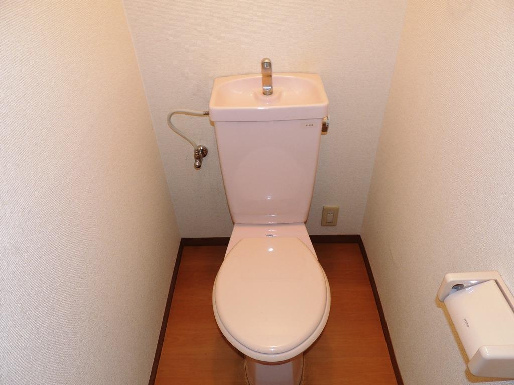トイレ　水洗タイプのトイレです。