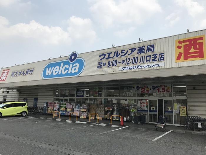 ドラックストア　ウエルシア（ドラッグストア）まで200m