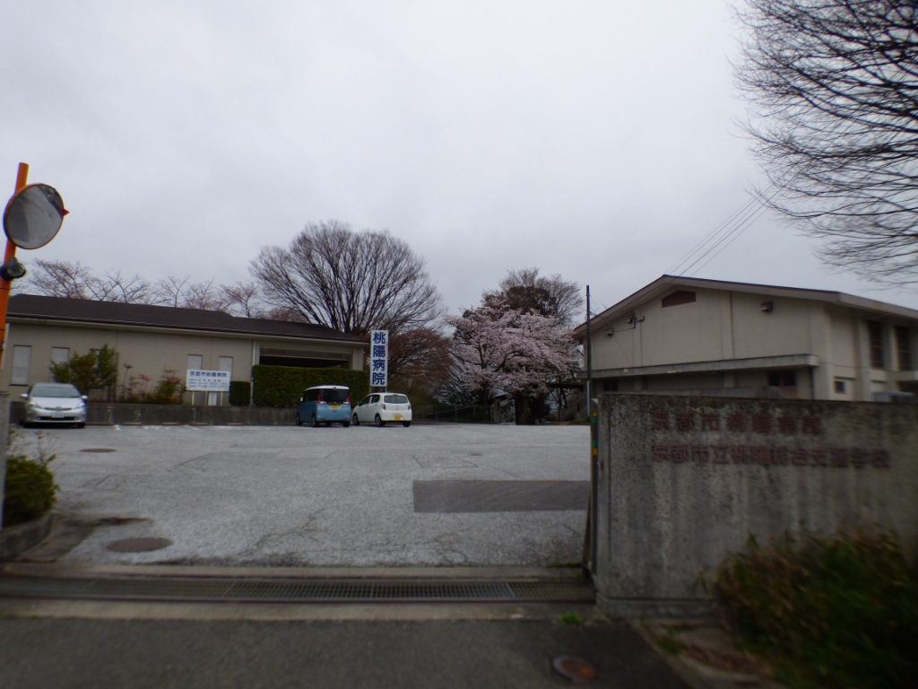 病院　京都市桃陽病院（病院）まで377m