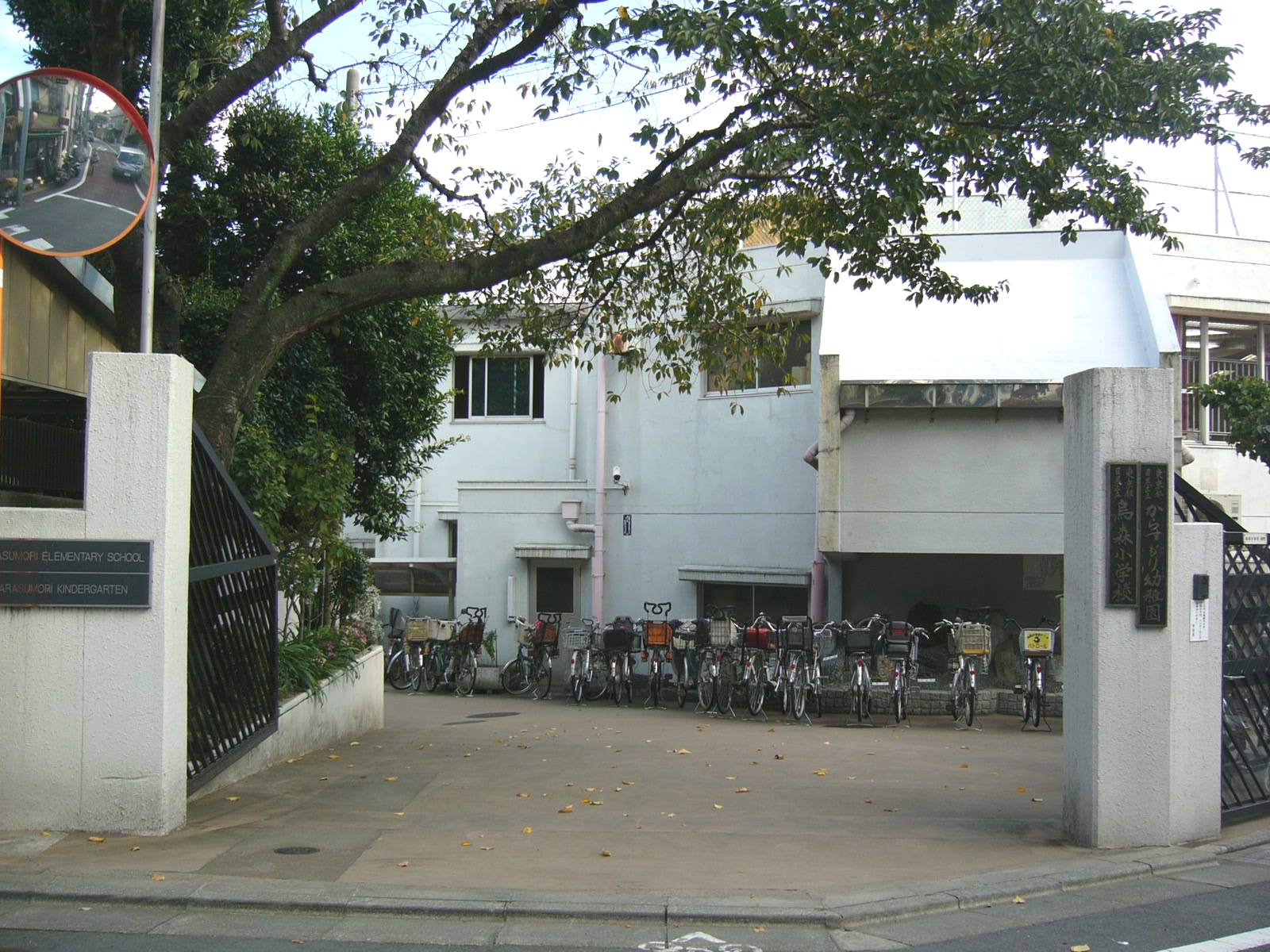 小学校　区立鳥森小学校（小学校）まで564m