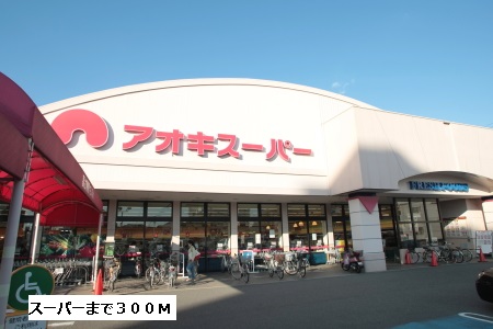 スーパー　アオキスーパー（スーパー）まで300m