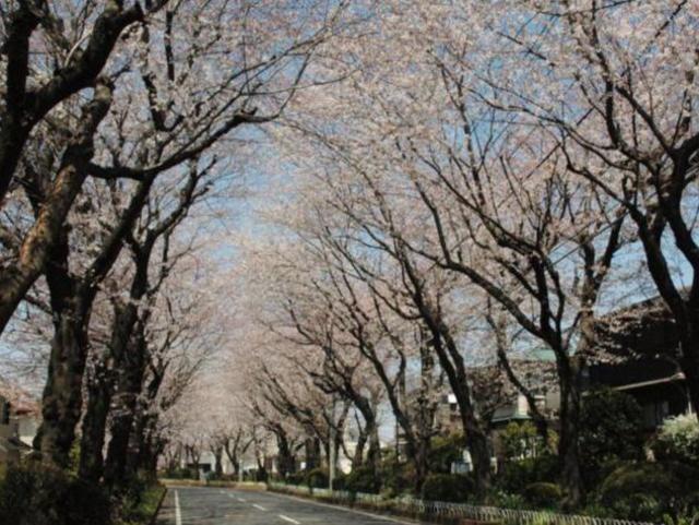 公園　綾西緑地（公園）まで388m