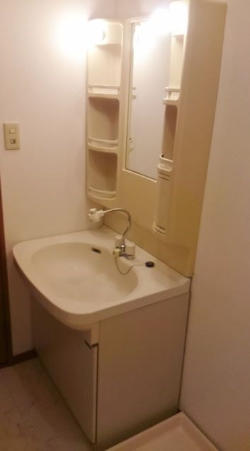 洗面設備　写真は別号室です。
