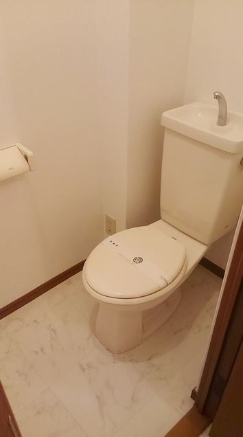 トイレ　写真は別号室です。