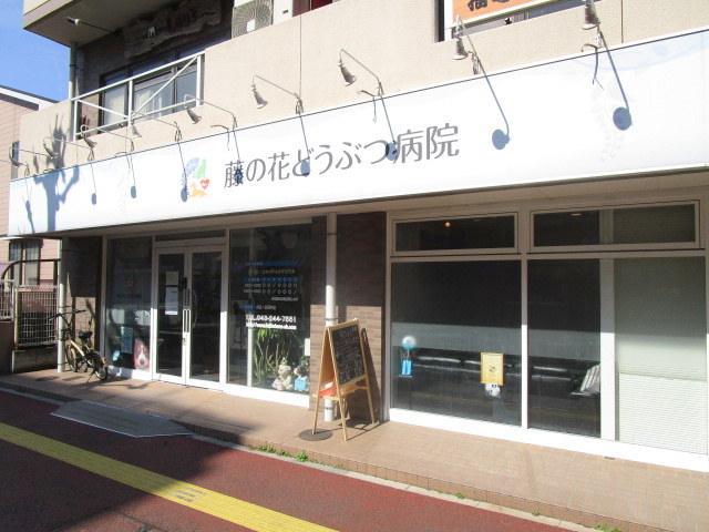 病院　藤の花どうぶつ病院（病院）まで560m