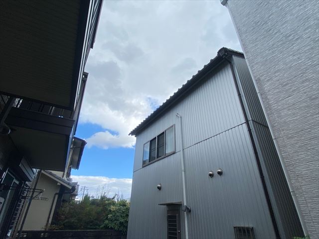 眺望　ロコ 光