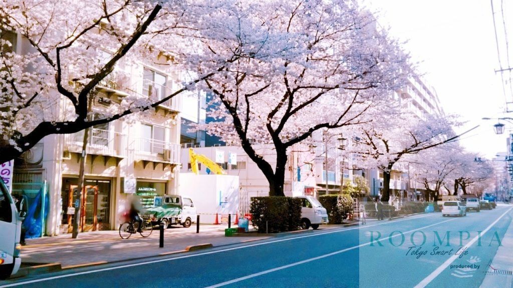 その他　桜台駅(西武 池袋線)（その他）まで1090m