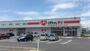 ドラックストア　くすりのレデイ撫川店（ドラッグストア）まで544m