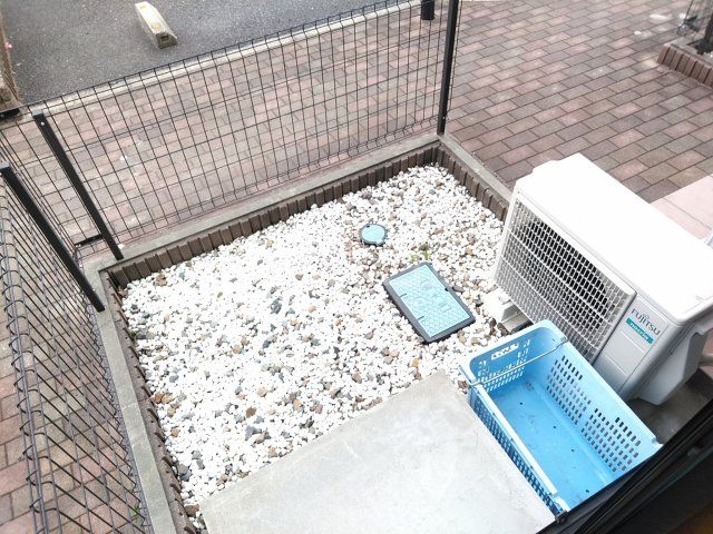 庭