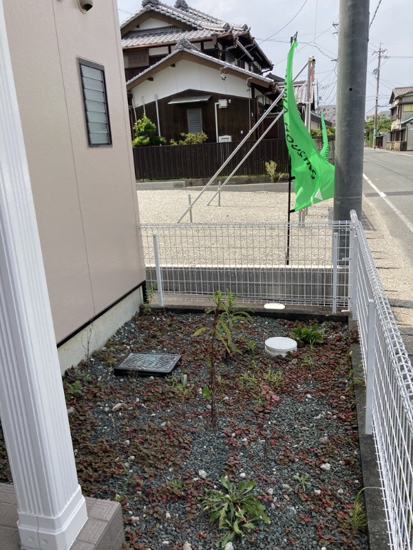 庭