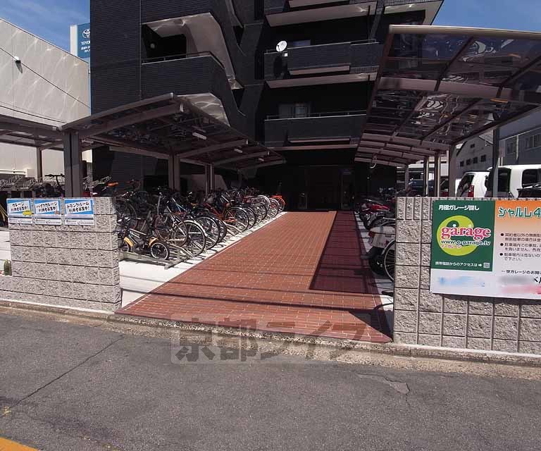 庭