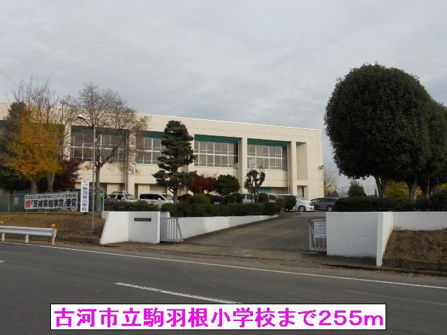 小学校　古河市立駒羽根小学校（小学校）まで255m