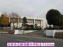 小学校　古河市立駒羽根小学校（小学校）まで255m