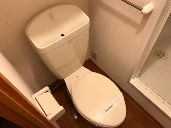 トイレ　※別号室の写真です