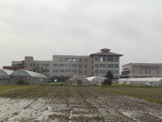 中学校　久御山町立久御山中学校（中学校）まで797m