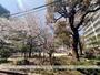 公園　北大江公園（公園）まで244m