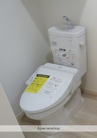 ブルーライン 三ツ沢上町駅 徒歩4分 3階建 築5年のトイレ写真