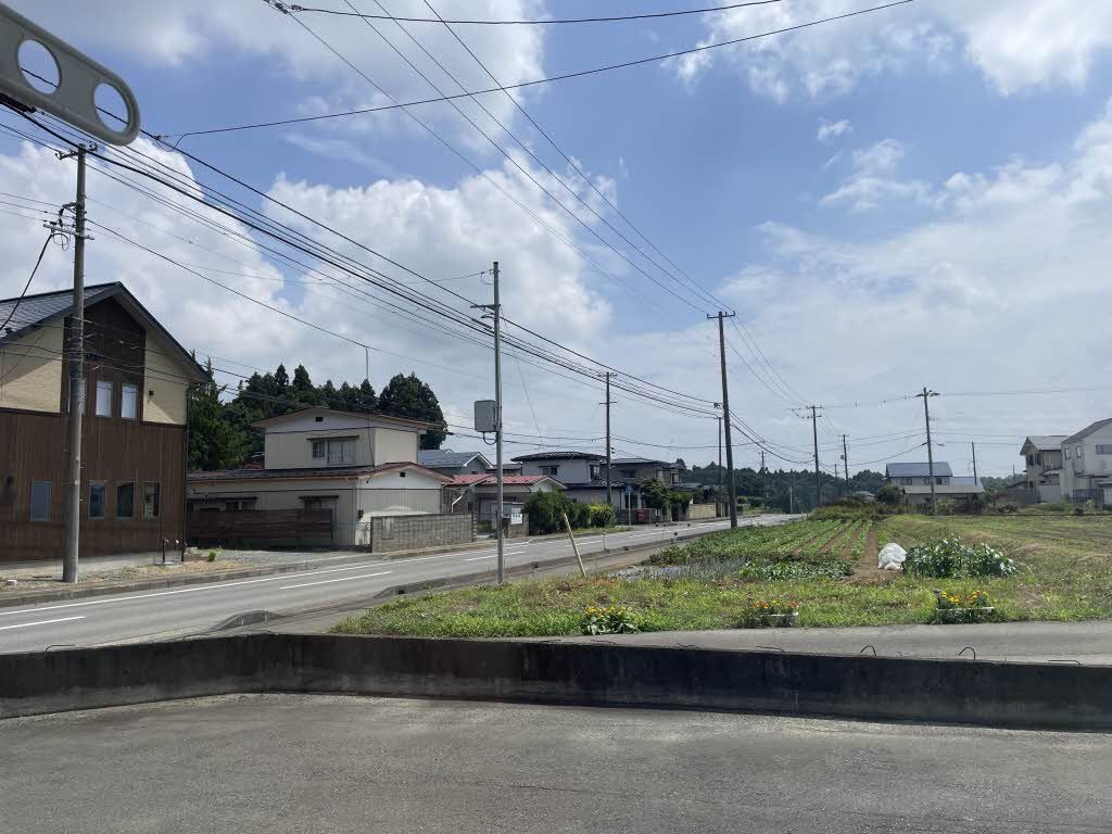 グレイハウスのその他写真