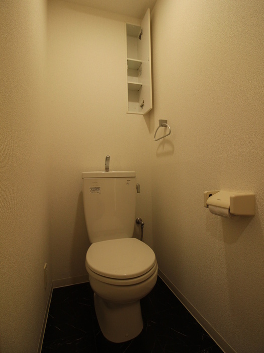 ＪＲ鹿児島本線 笹原駅 徒歩15分 5階建 築18年のトイレ写真