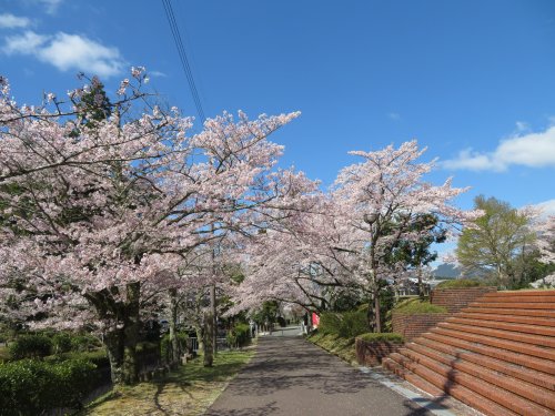 【グリーンハイツ三喜の公園】