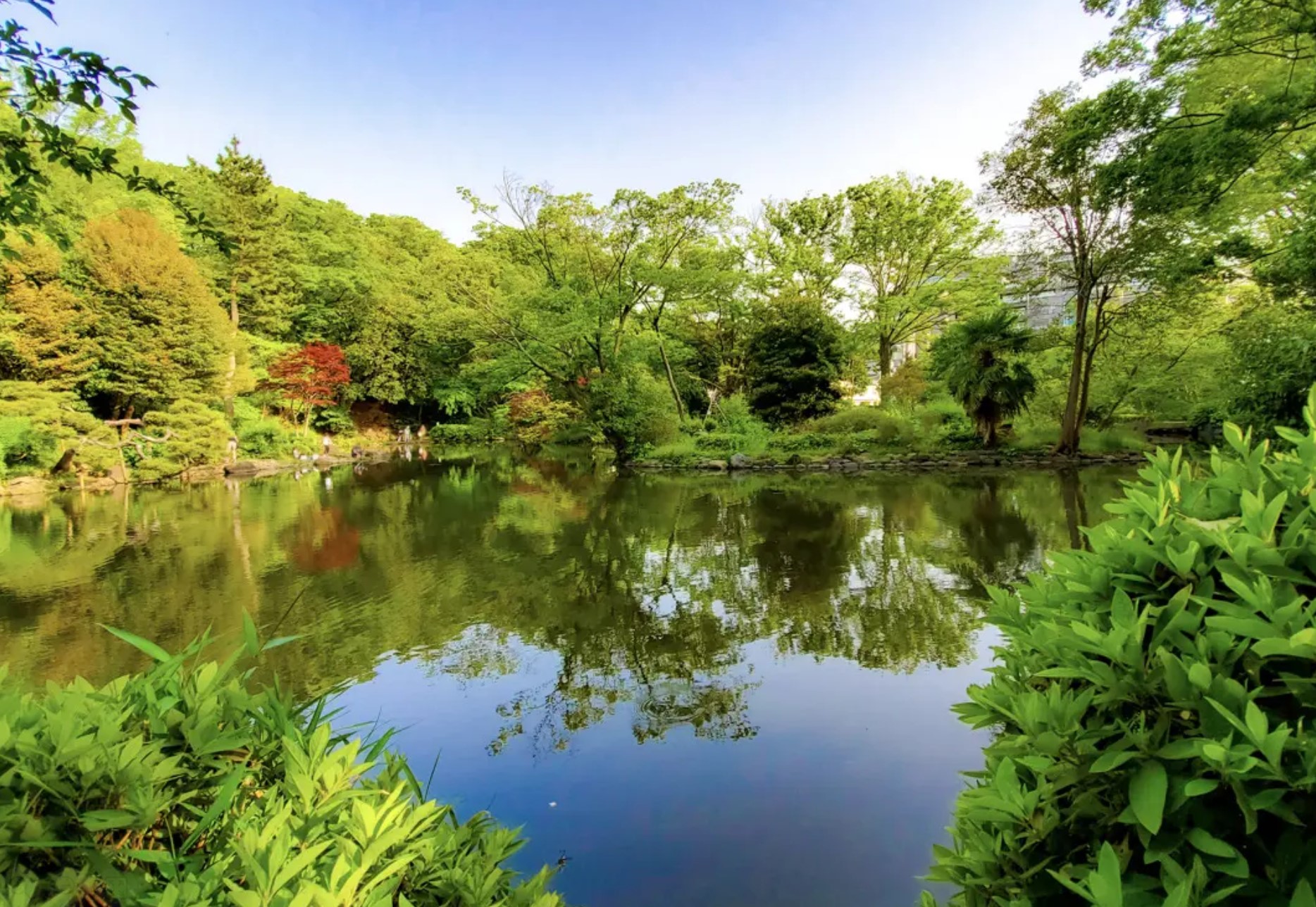 【グランスイート広尾の公園】