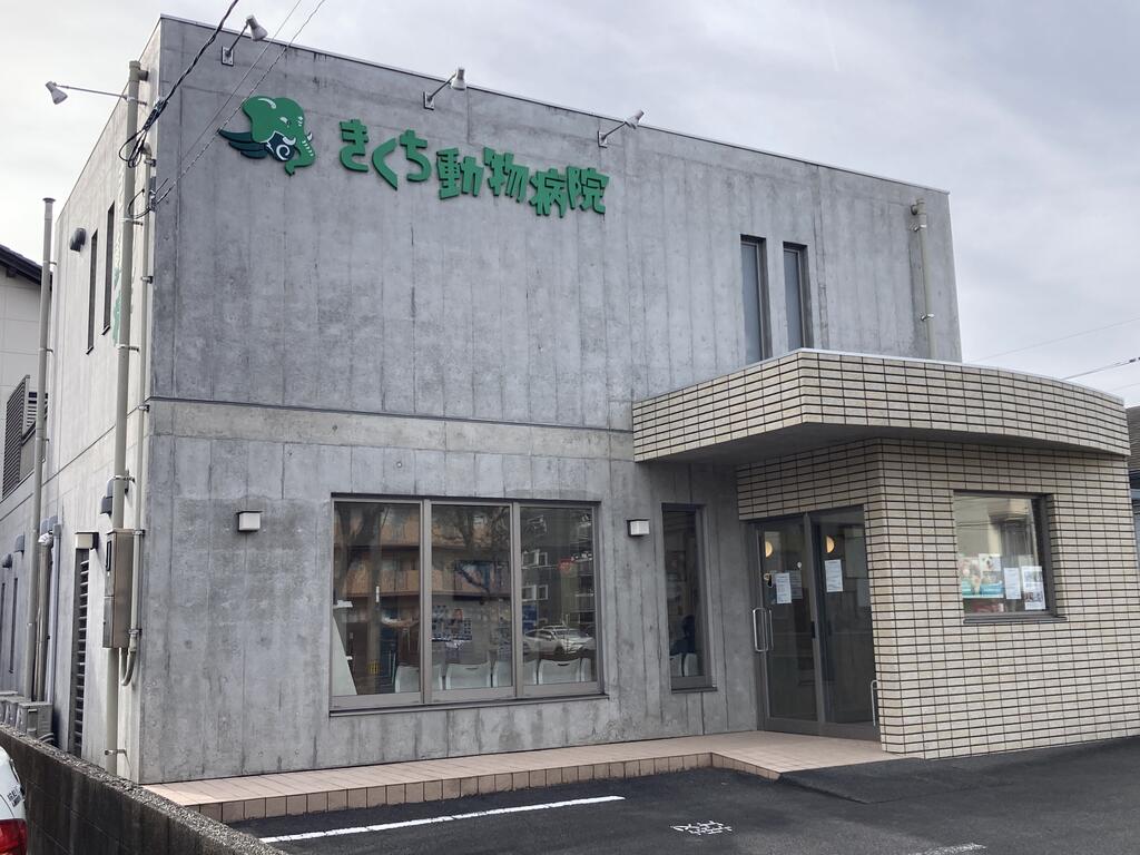 その他　きくち動物病院（その他）まで500m