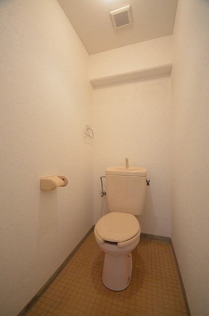 トイレ　同物件、別号室の写真