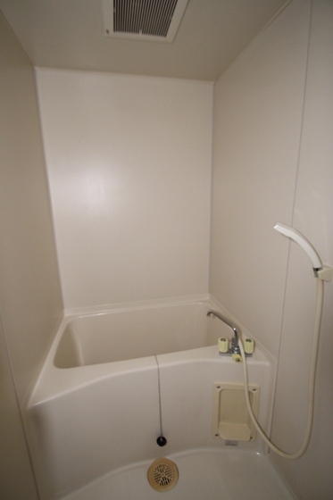 バス・シャワールーム　他部屋の写真です。