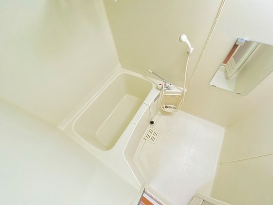 バス・シャワールーム　※別部屋の写真です