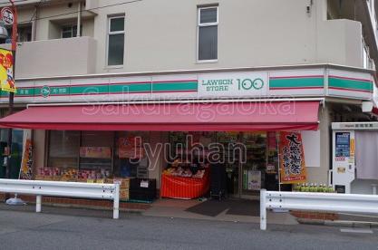 スーパー　ローソンストア100 LS世田谷奥沢店（スーパー）まで485m