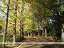 公園　羽根木公園（公園）まで800m