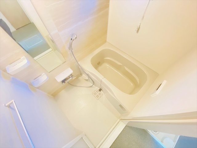 バス・シャワールーム　＊ルタンラシックIIIと同タイプのお部屋です。（角部屋以外側面に